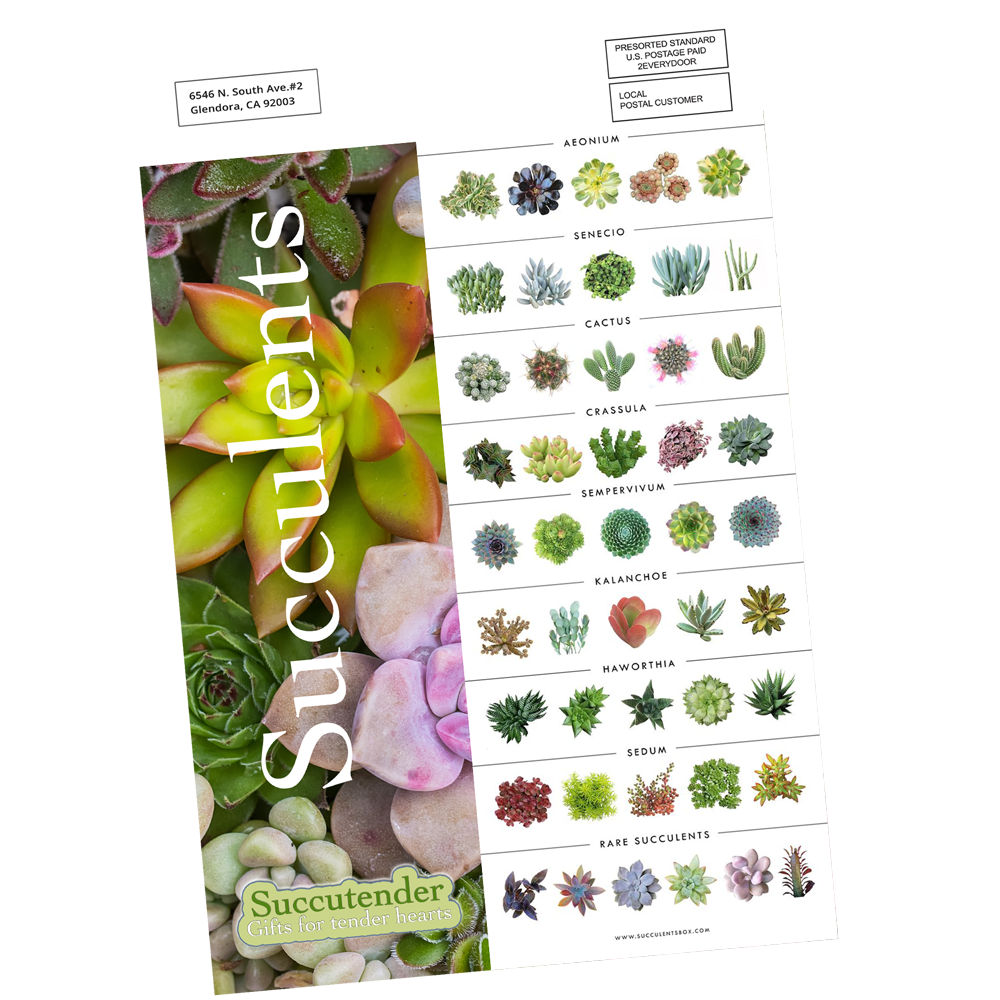 Rack Card